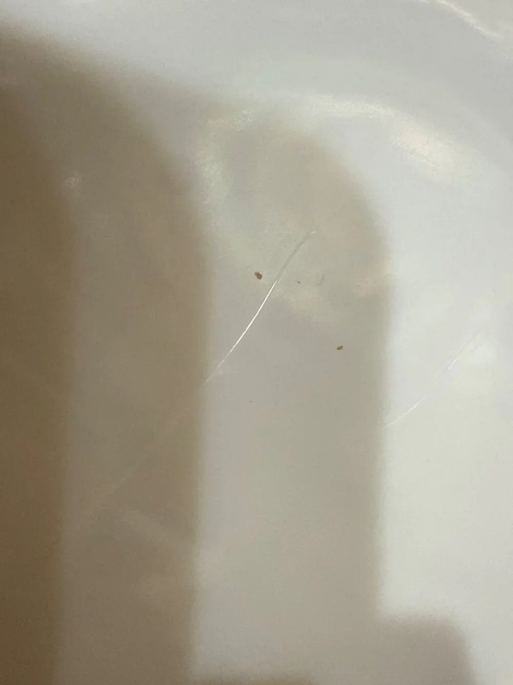 VINTAGE WESTMORLAND WHITE MILK GLASS FORGET ME NOT LACE PLATE 8.5
